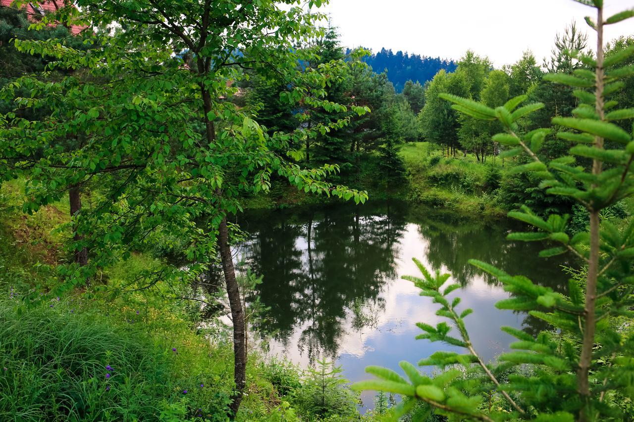 Villa Buhiv Skhidnytsia Buitenkant foto
